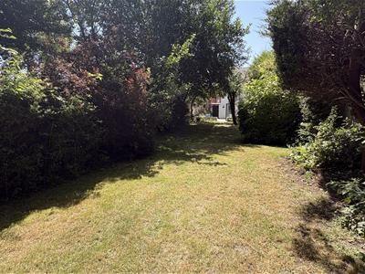 Picture 46